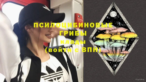 MESCALINE Карпинск