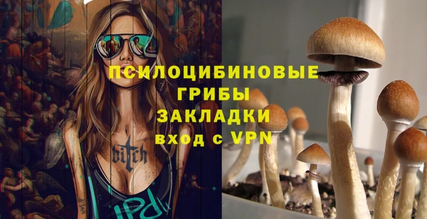 PSILOCYBIN Фурманов